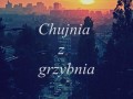 Chujnia