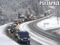Psi zaprzęg