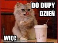 Tak wiem dzisiaj jest zły dzień
