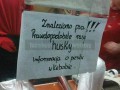 Piesek w kebabie