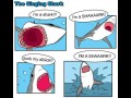 Singing shark