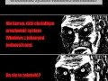 System windows