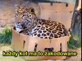 Nawet te największe