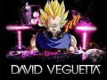 David veguetta