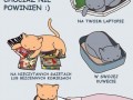 Gdzie nie powinien spac twoj kot