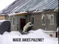 Macie jakieś palenie