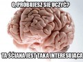 Uczenie się