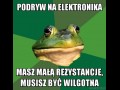 Podryw na elektronika