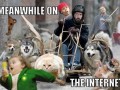The internet