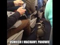 Pingwiny z madagaskaru