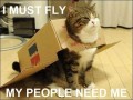 Supercat