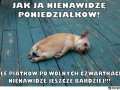 Nienawidzę takich dni