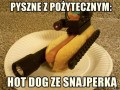Hotdog ze snajperką