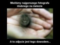 Najgorszy fotograf ślubny