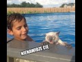 Nienawidze