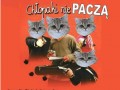 Chlopaki nie pacza