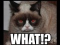 Hey grumpy