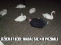 Nadal sie nie poznali