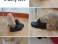 Smelly feet