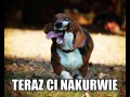 Już po tobie