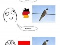 Kukułka