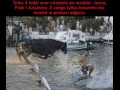 Chodzenie po wodzie