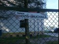 Twórczość d