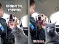 Dezaprobata