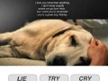 Cry a lot