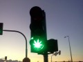 Ganja light