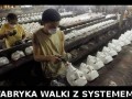 Fabryka walki z systemem