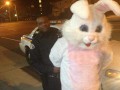 Busted