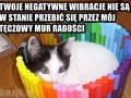 Twoje negatywne wibracje nic nie mogą mi zrobić