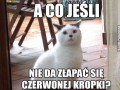 Czerwona kropka