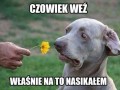 Czowiek weź