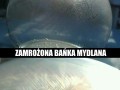 Zamrożona bańka mydlana
