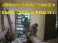 Chęć do pracy 