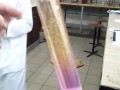Lab