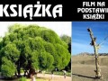 Książka