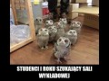 Pierwszaki