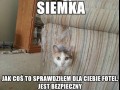 Siemka człowiek