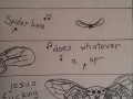 Spiderbee