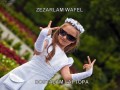 Wafel