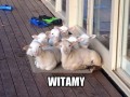 Wracasz do domu widzisz to