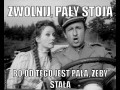 Pały mają stać