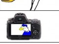 Fotka z rąsi