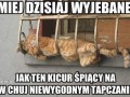 Miej dziś wyjebane