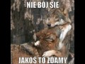 Jakoś to zdamy