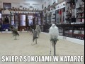 Ciekawy sklep