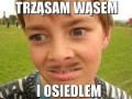 Wszystkie laski moje